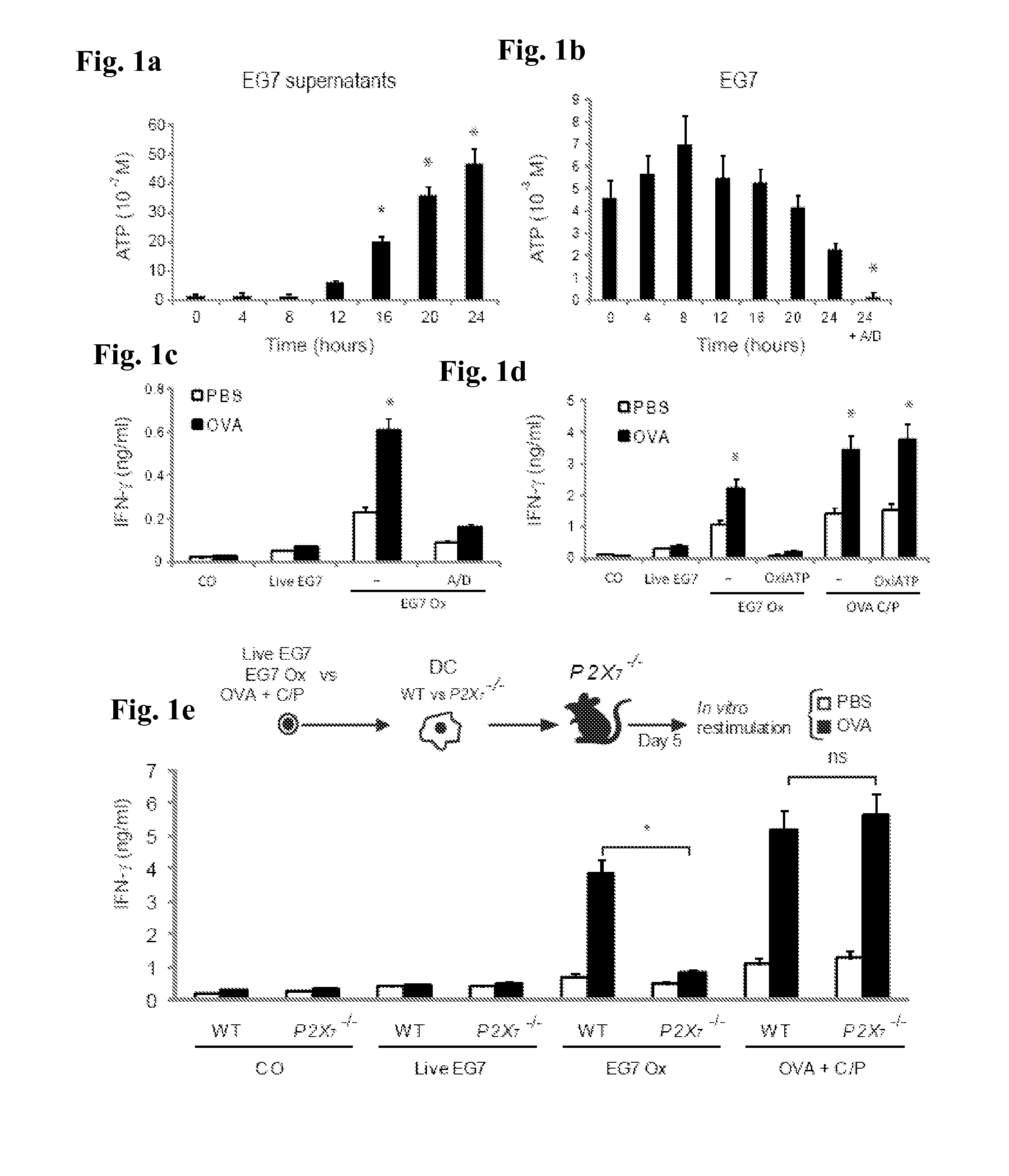 Use of p2x7 pathway for assessing the sensitivity of a subject to a cancer treatment