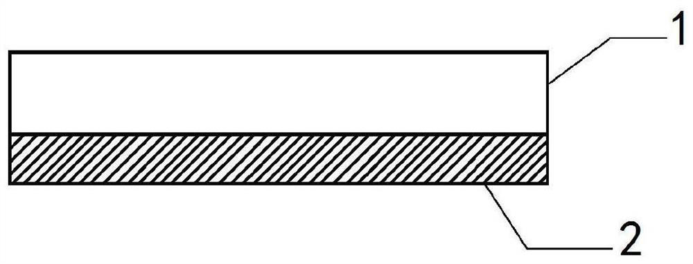 Oral wound protective film and preparation method thereof