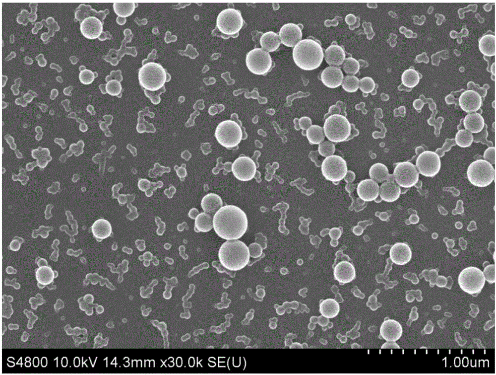 New method for functional modification of poly(beta-pinene) resin