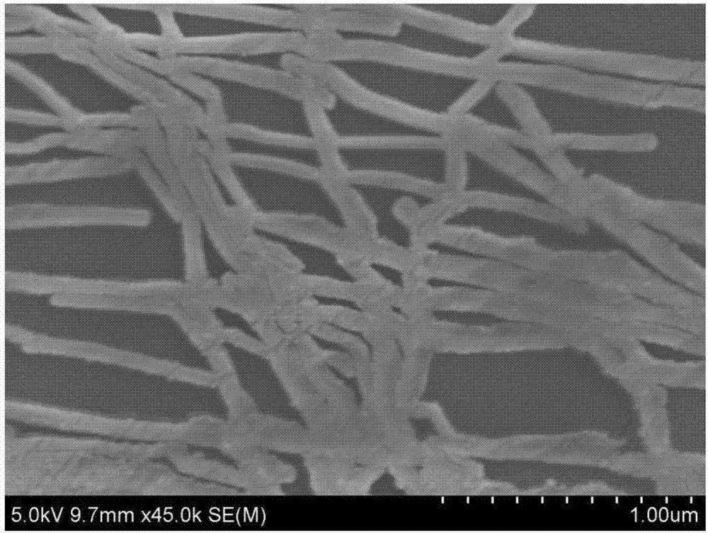 Silver nanowire transparent conductive thin film and preparation method thereof