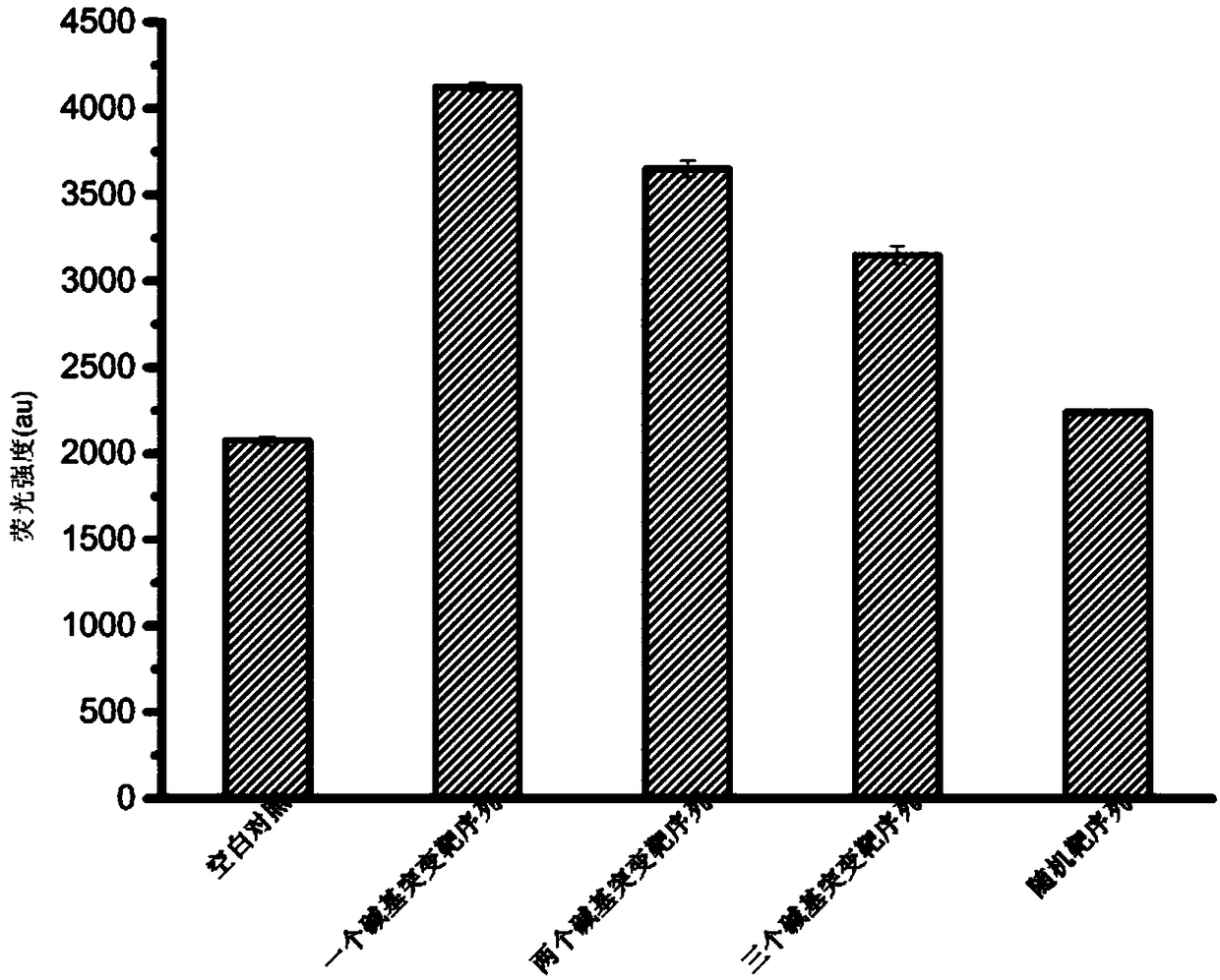 Kit for detecting hepatitis B virus and detection method of hepatitis B virus