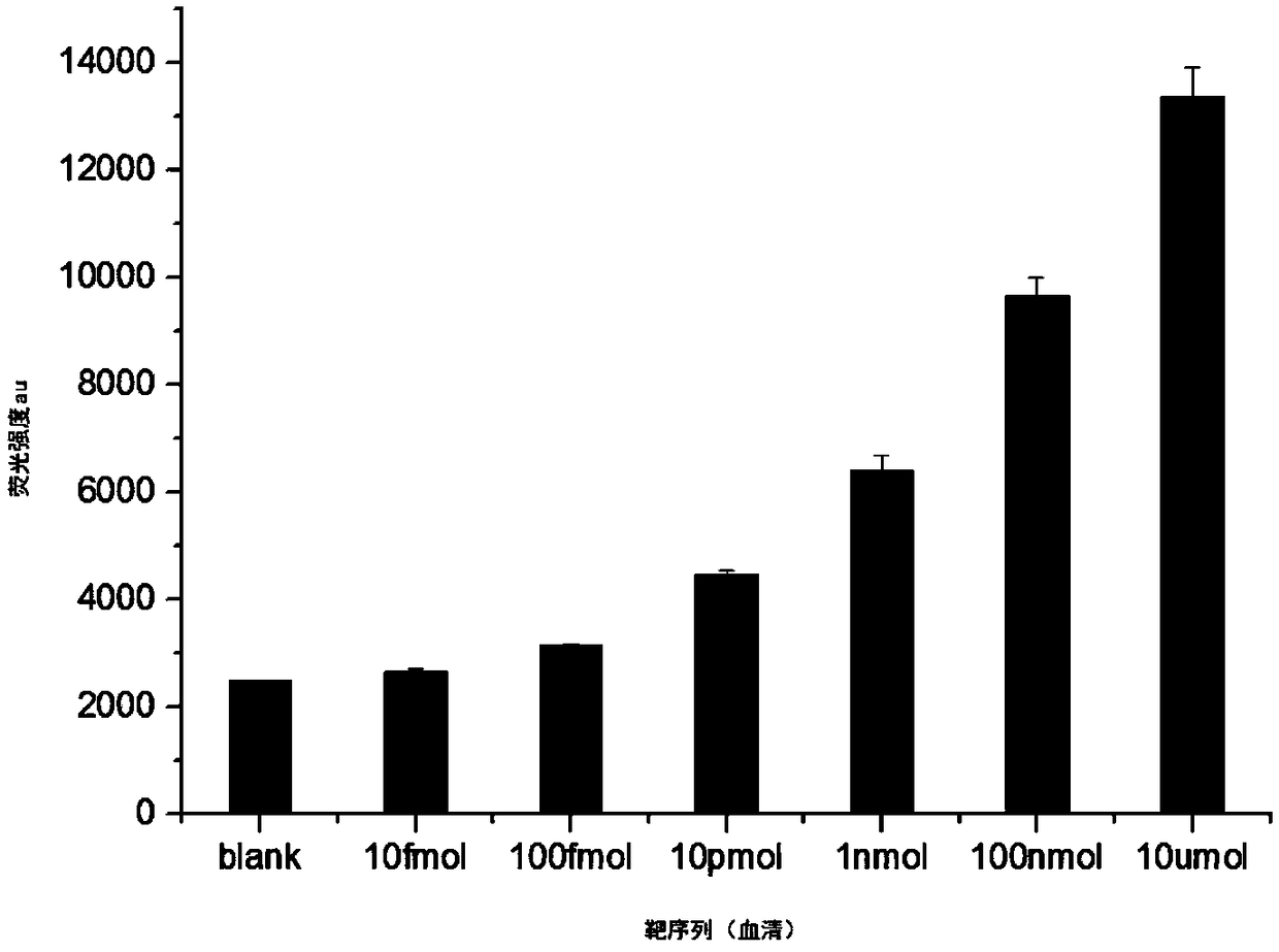 Kit for detecting hepatitis B virus and detection method of hepatitis B virus