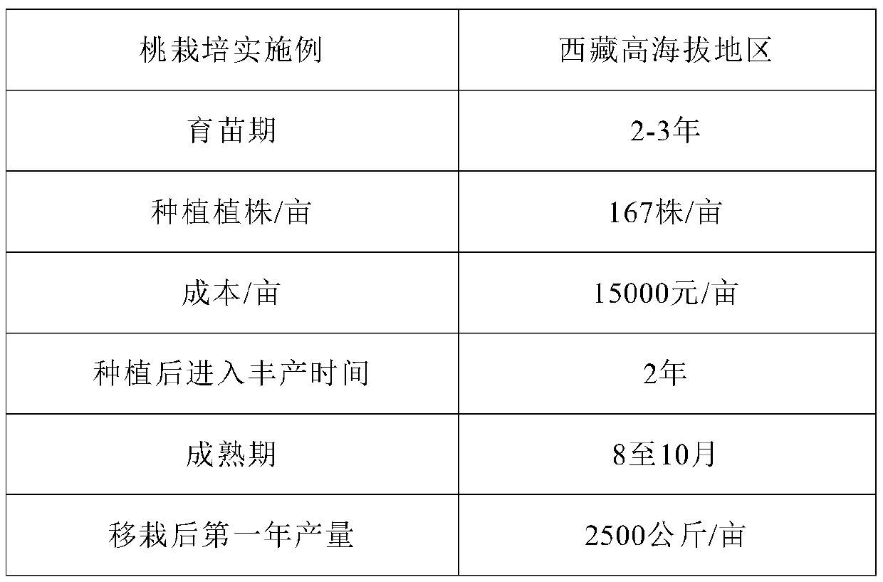 Method for cultivating amygdalus persica L. in high-altitude area