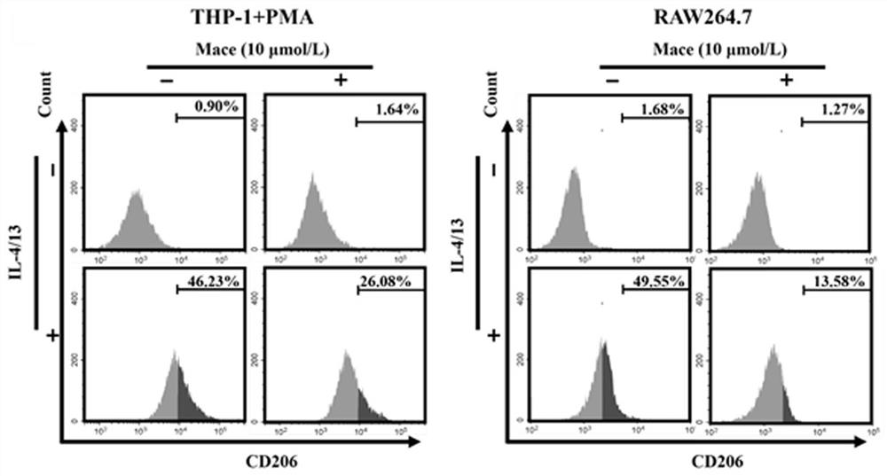 Application of anwuligan or pharmaceutical composition thereof in colorectal cancer treatment