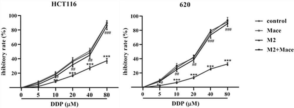 Application of anwuligan or pharmaceutical composition thereof in colorectal cancer treatment