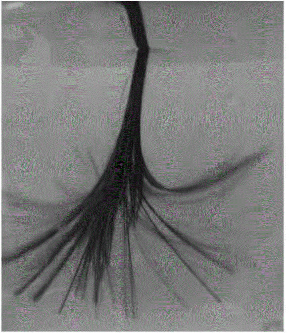 Preparation method and application of water-soluble carbon fiber sizing agent