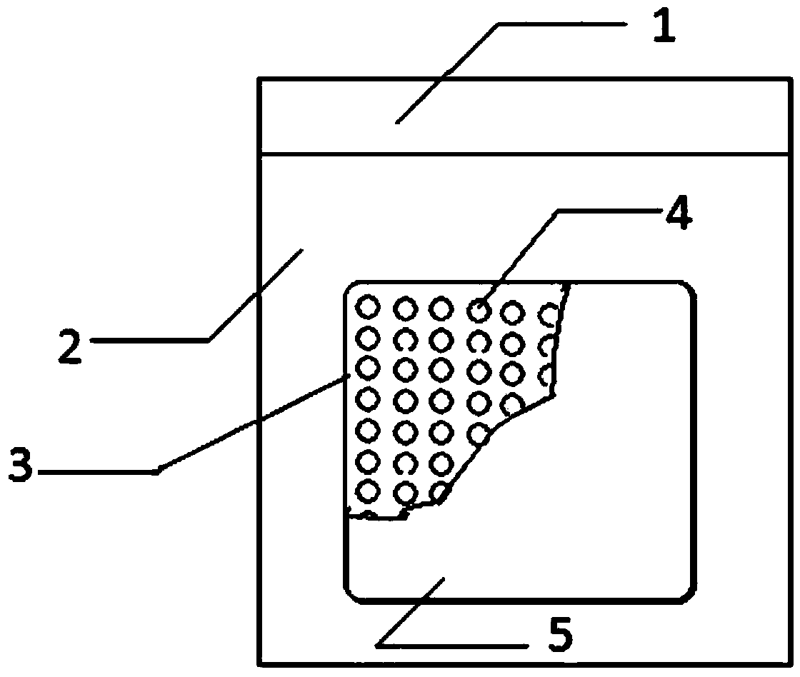 Facial mask and preparation method thereof