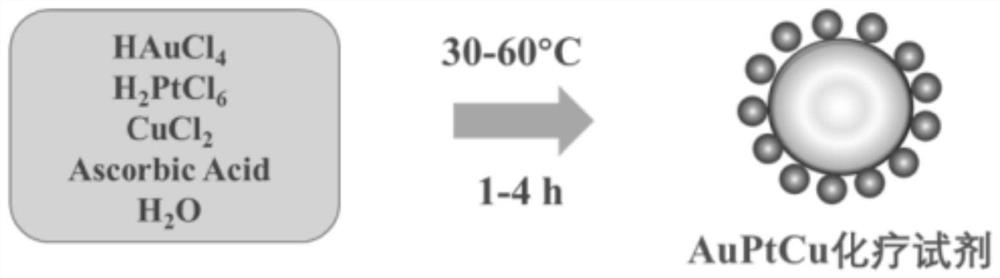 Precious metal anti-cancer nano material as well as preparation method and application thereof