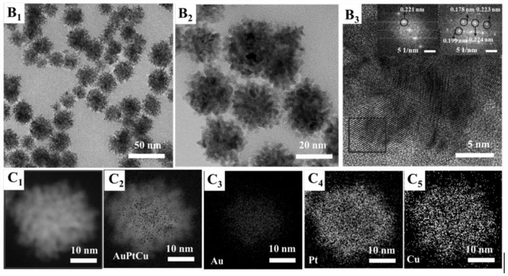 Precious metal anti-cancer nano material as well as preparation method and application thereof