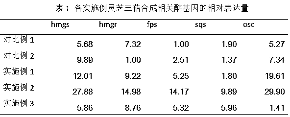 Method for increasing content of ganoderma triterpenes in lucid ganoderma