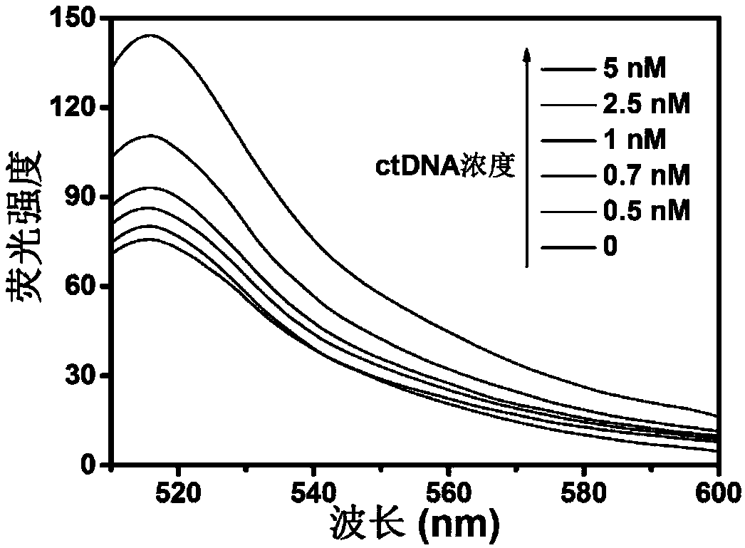 Method for detecting circulating tumor nucleic acid based on functionalized black phosphorus biosensor