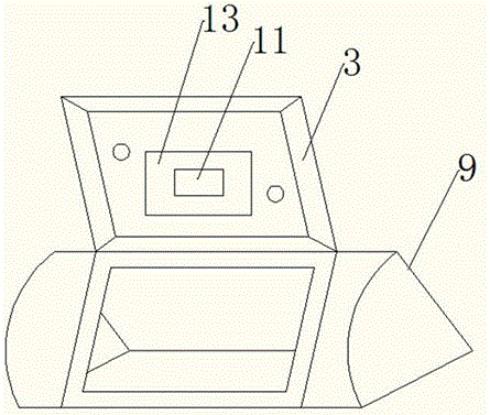 Dry salt salting machine