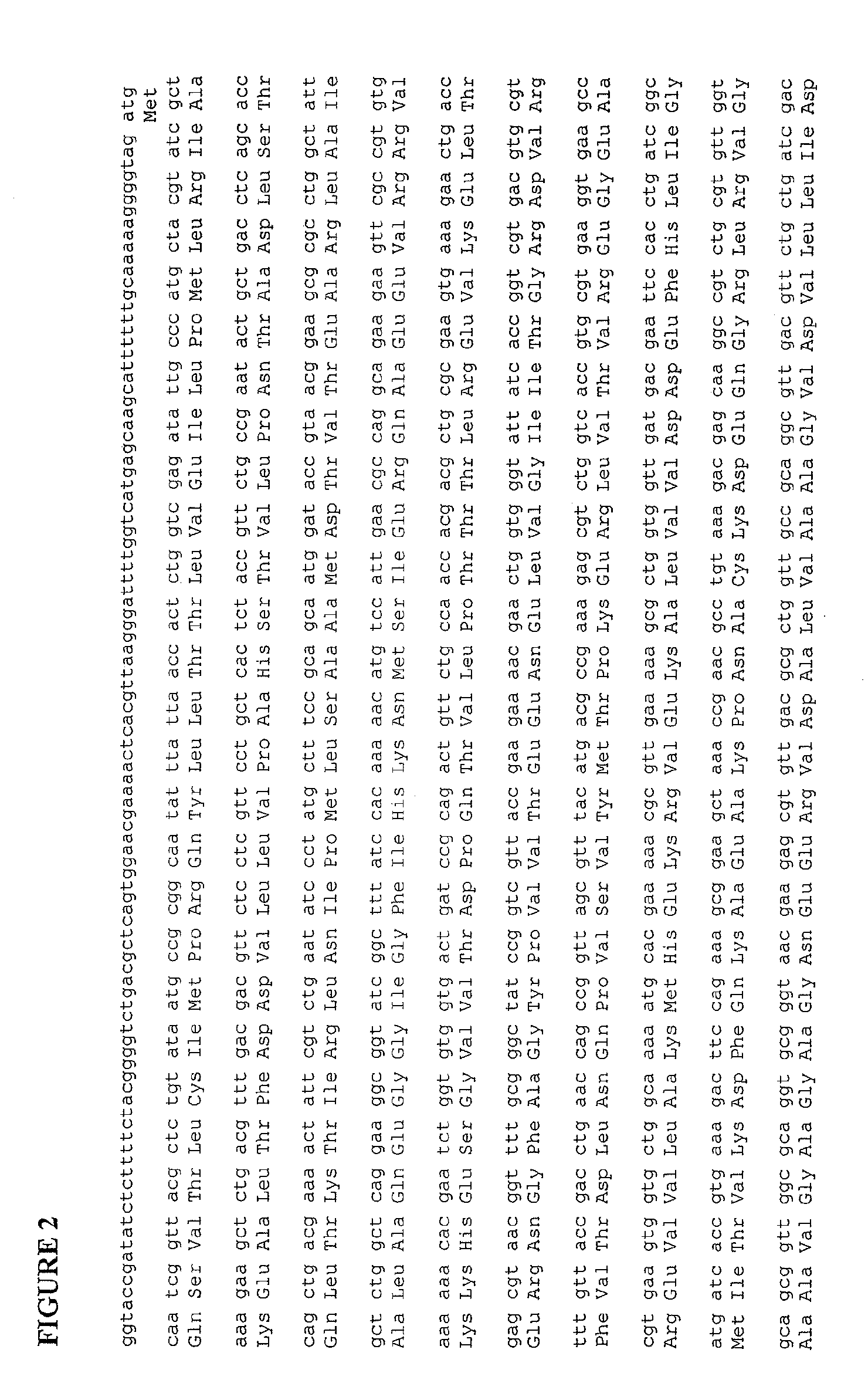 Microbial host-vector complementation system