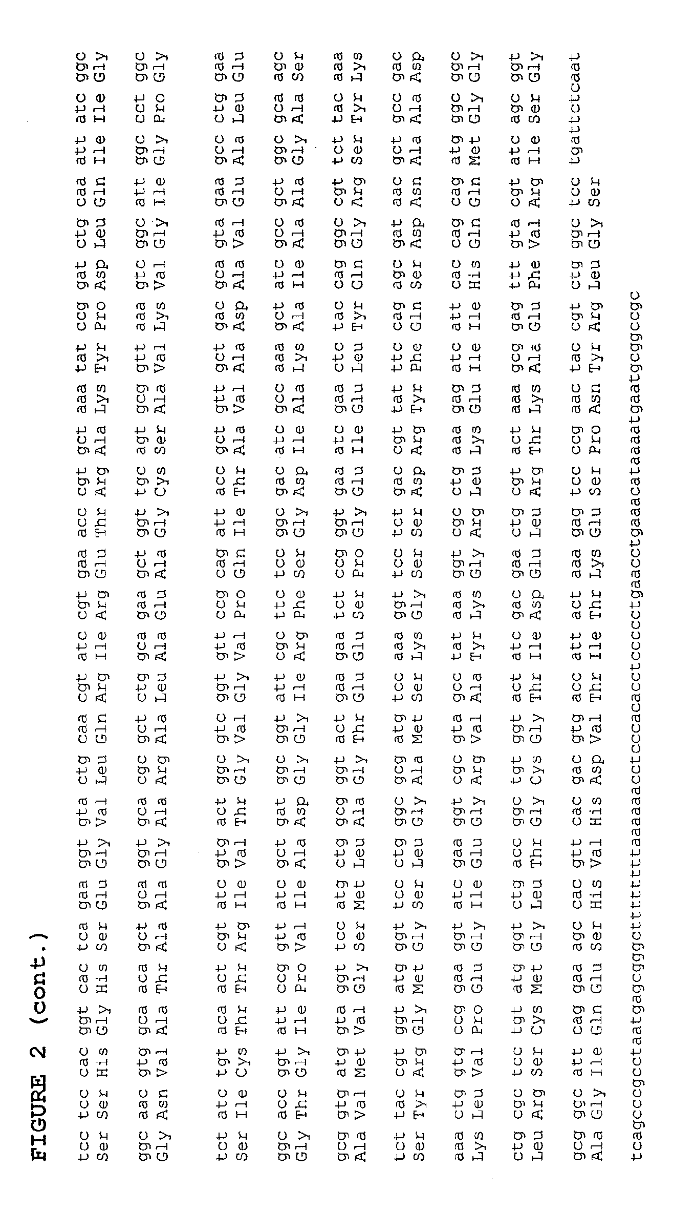 Microbial host-vector complementation system