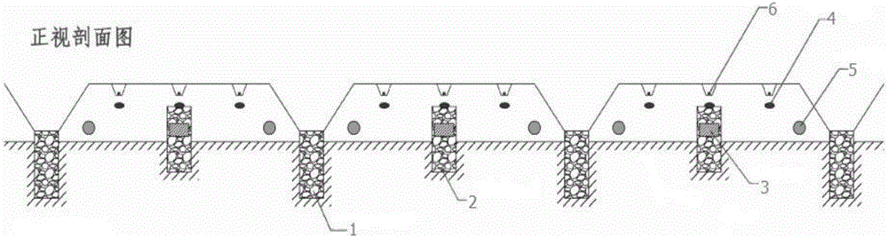 Large-ridge platform kidney bean cultivation method