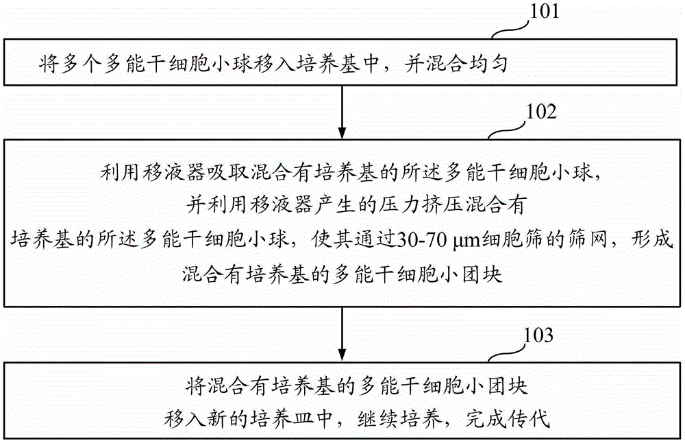 Passage method of pluripotent stem cells and application thereof