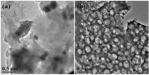 Porous carbon material prepared by using self-modification of pseudomonas putida and preparation method and application thereof