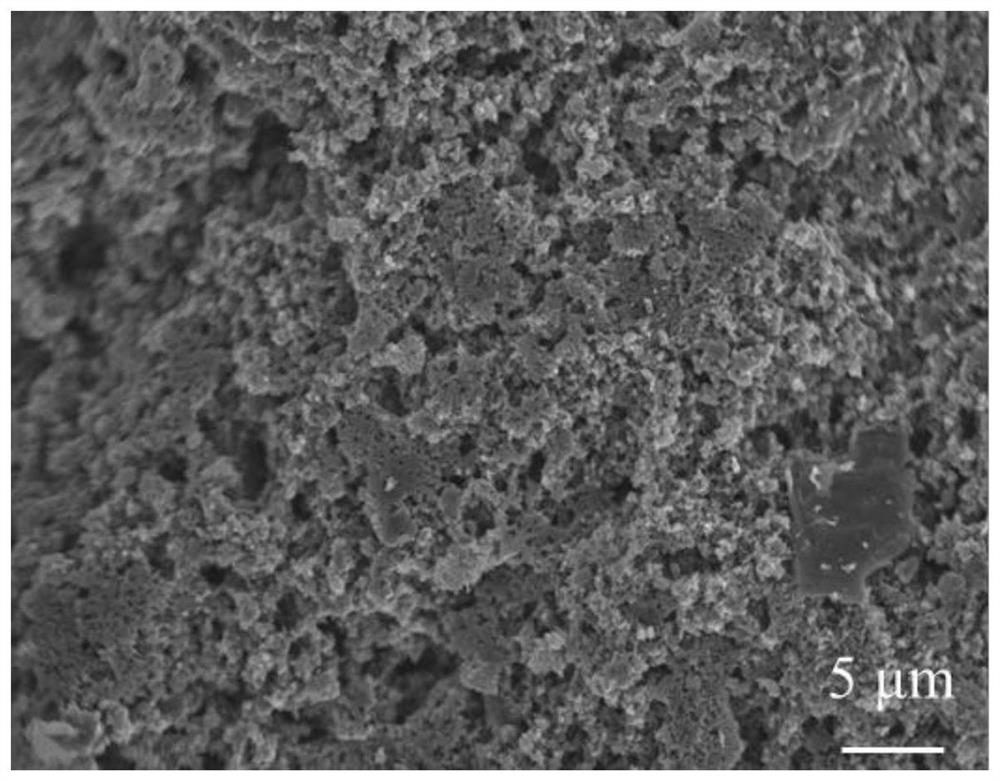 Oxygen reduction catalyst using waste battery negative electrode graphite and preparation method thereof