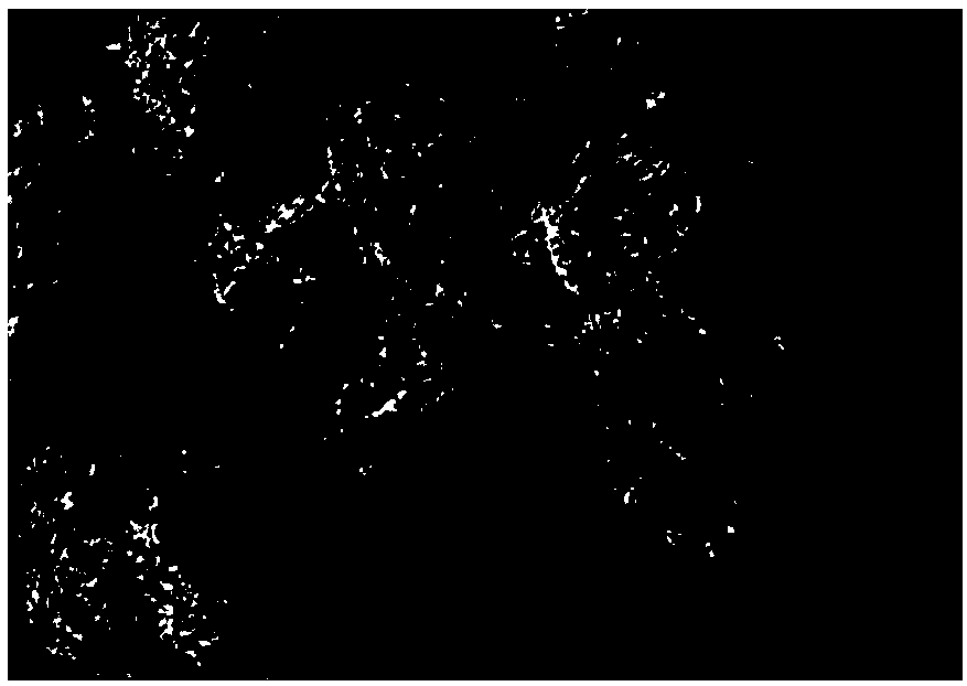 Improved cobalt-based catalyst and preparing method and application thereof