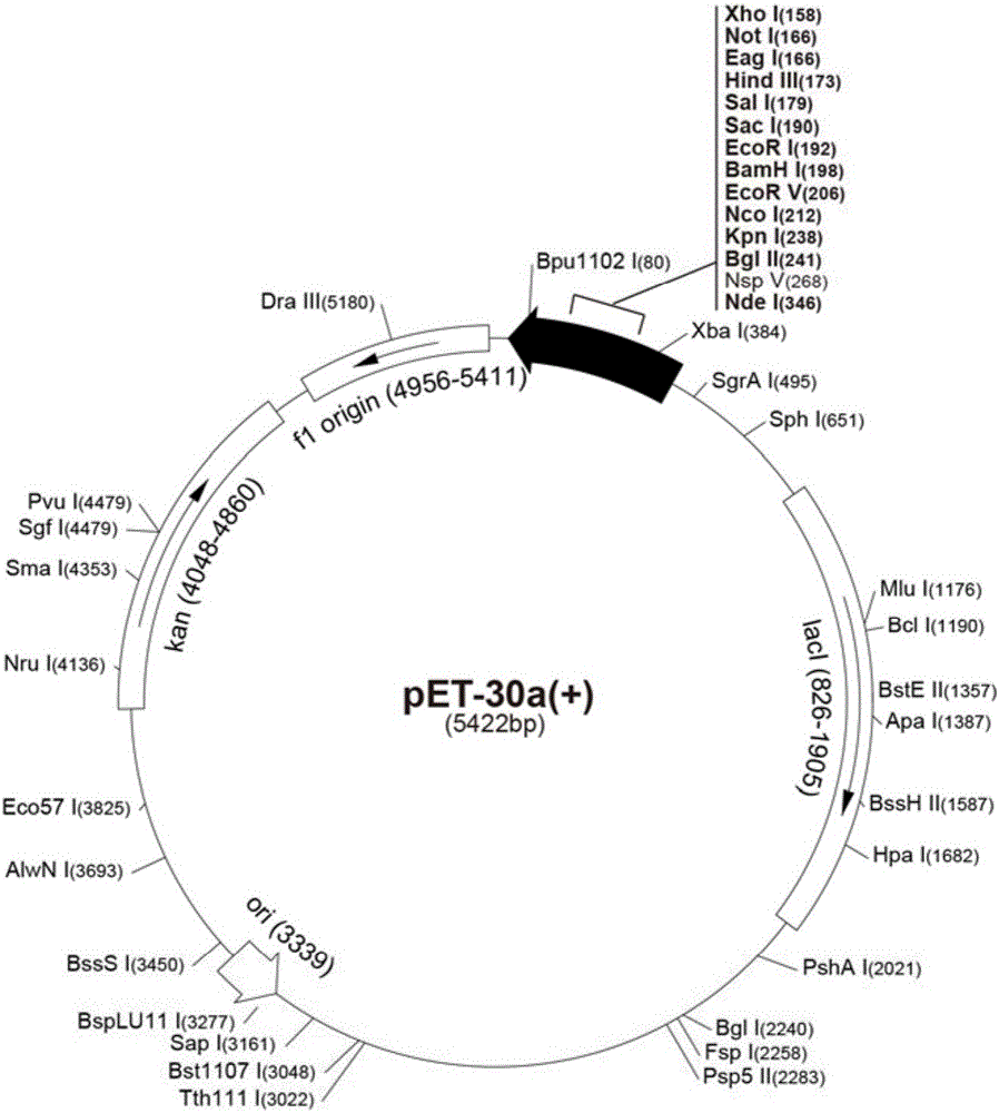 Application of mycoplasma bovis MbovP730 protein in natural infection and vaccine immunity identification