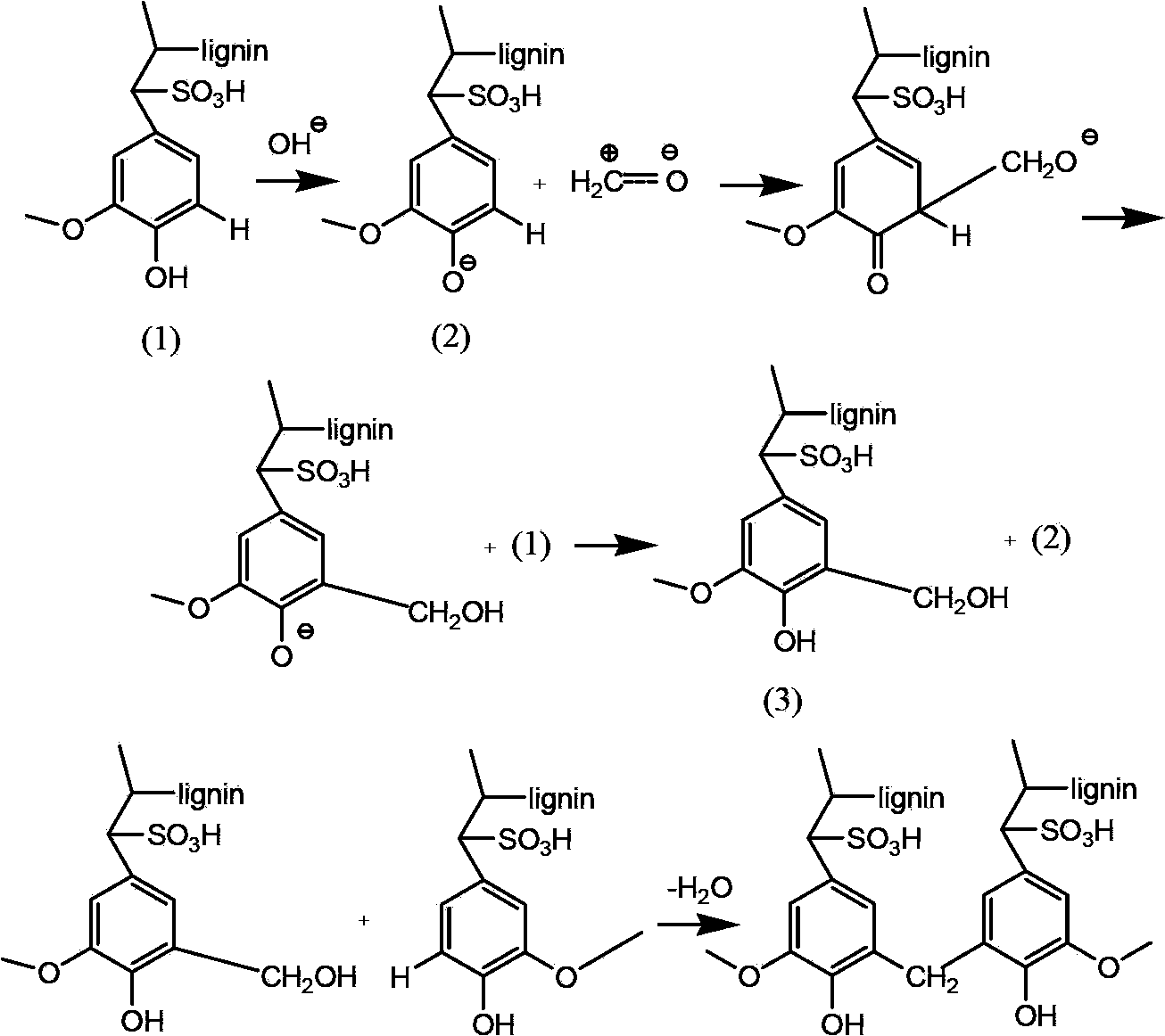 Porous biomass acidic solid material, and preparation and application thereof