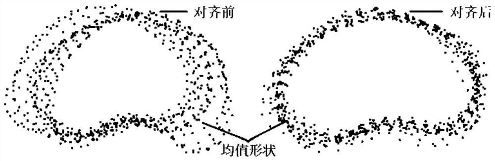 Prostate activity appearance model establishment method based on TURS image