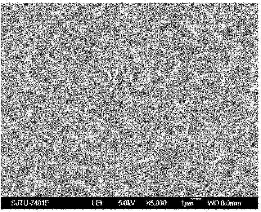 Method for preparing perylene polyimide derivative film