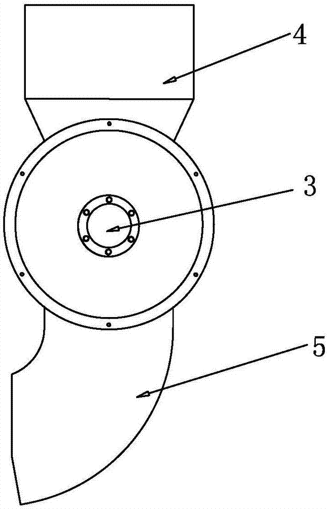 Device for inoculation and bagging and inoculation method of edible oyster mushroom