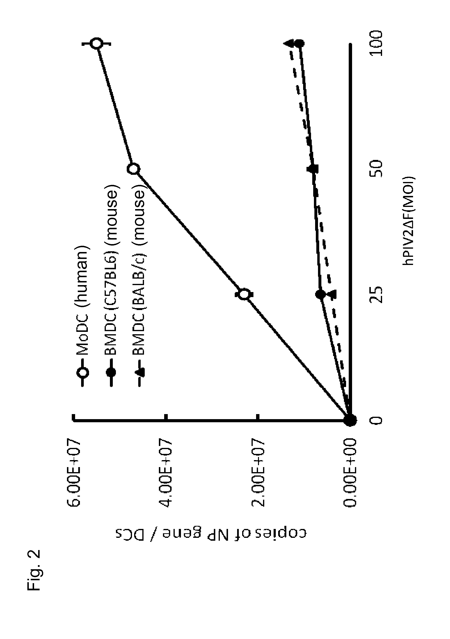 Vaccine prepared utilizing human parainfluenza virus type 2 vector