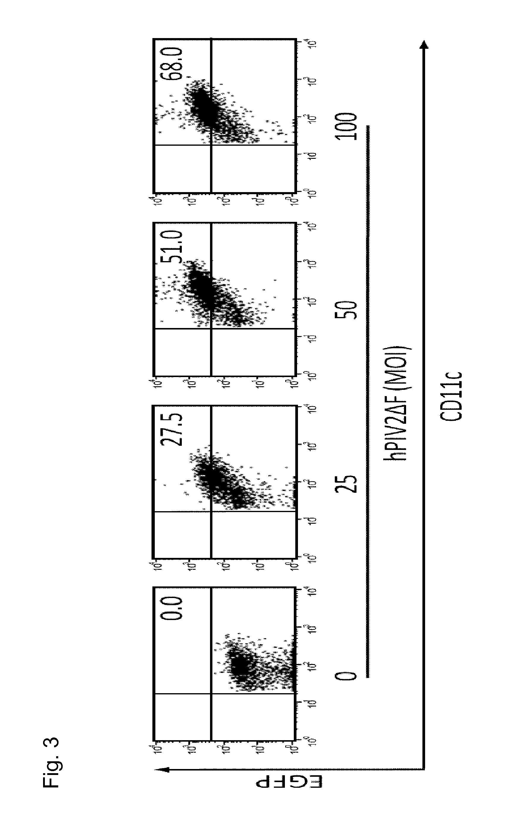 Vaccine prepared utilizing human parainfluenza virus type 2 vector