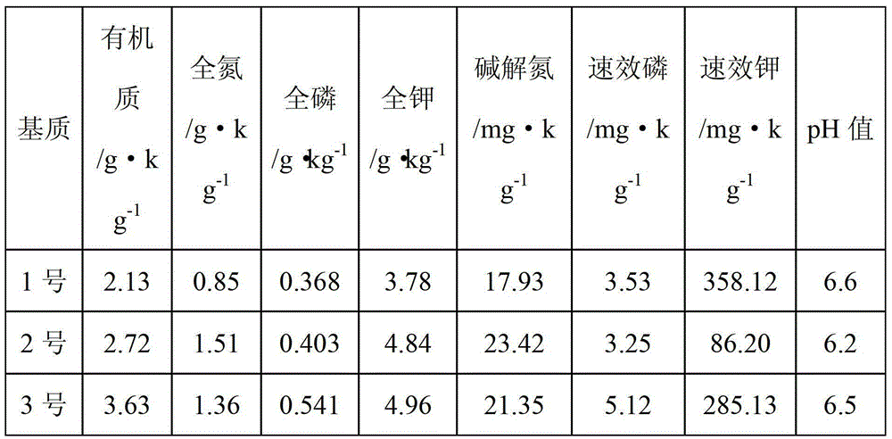 Propagation method of fir woodland predominant endomycorrhizal fungi