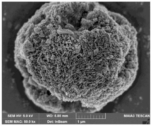 Preparation method of special-morphology micro nano structural lithium-rich manganese-based cathode material