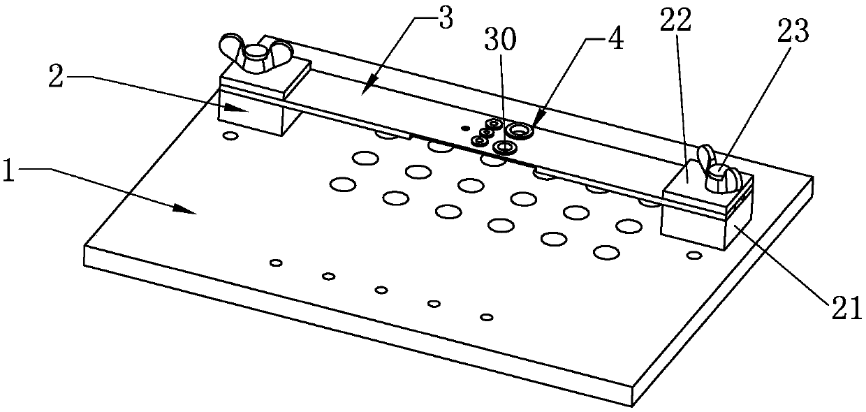 Animal eyeball fixing device for photoacoustic imaging system