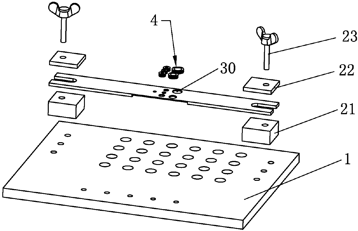 Animal eyeball fixing device for photoacoustic imaging system