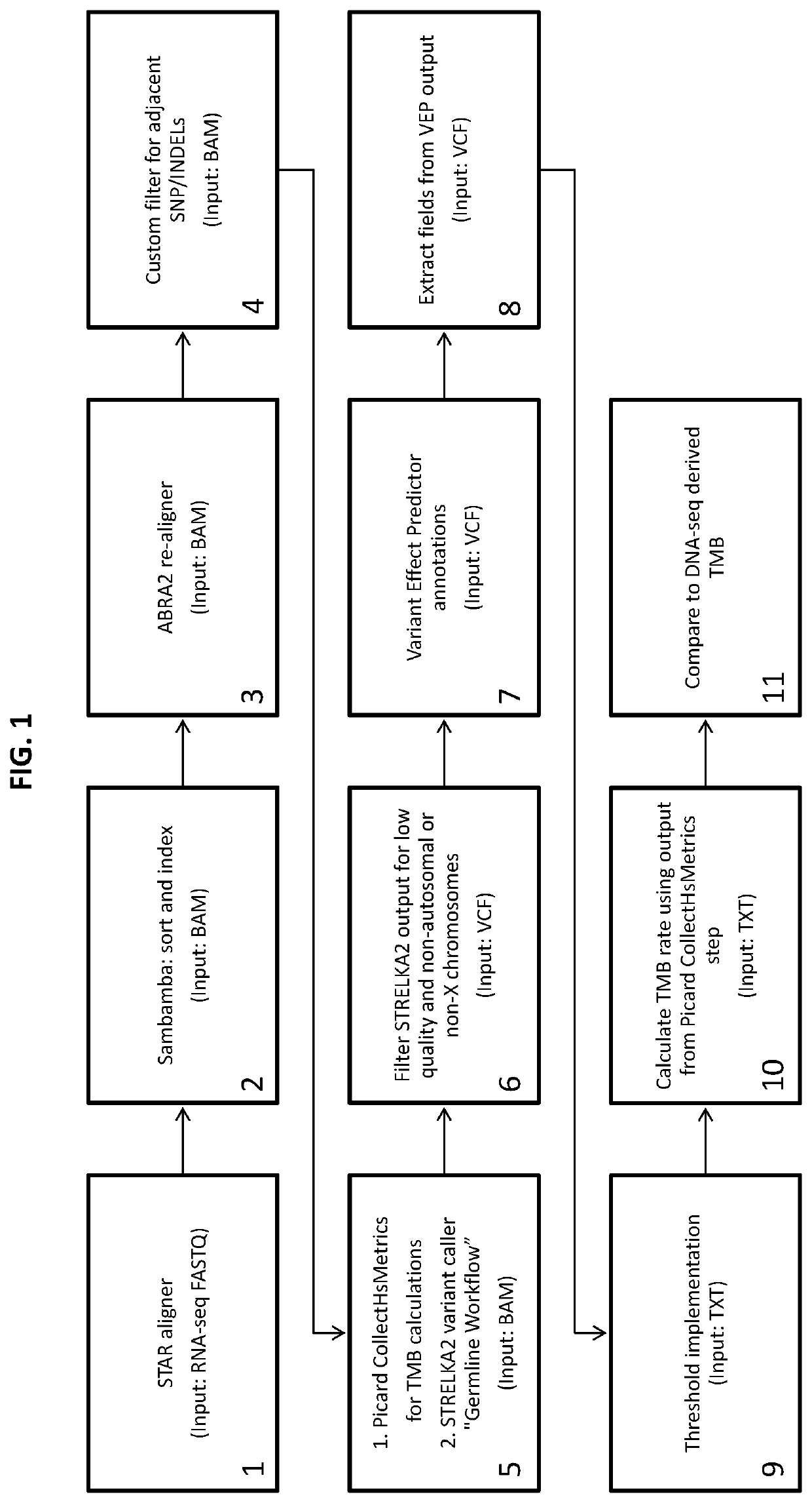 Detecting tumor mutation burden with RNA substrate