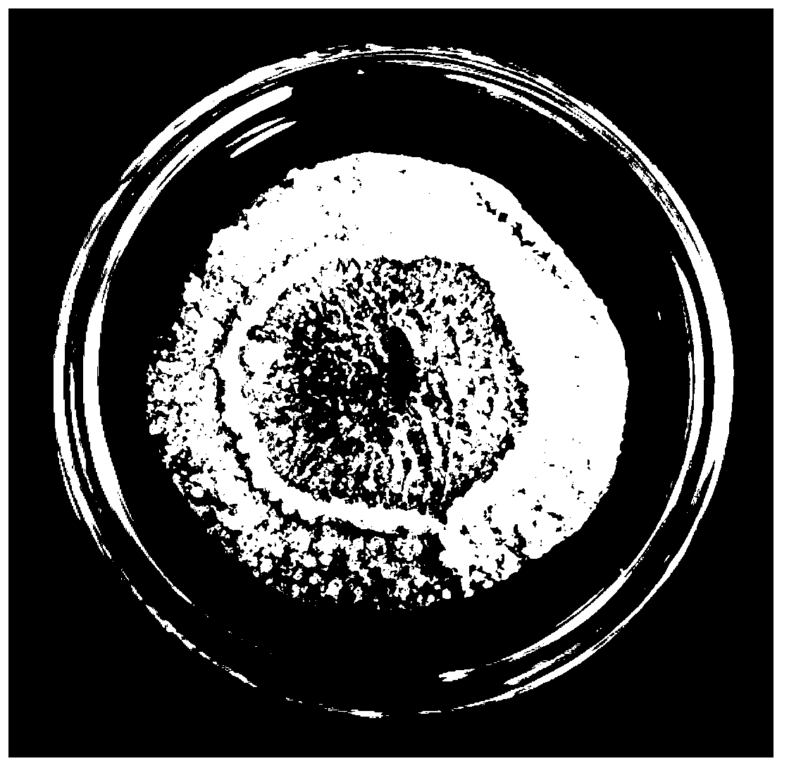 Method for breeding, culturing and preserving paratylenchus by using carrot callus