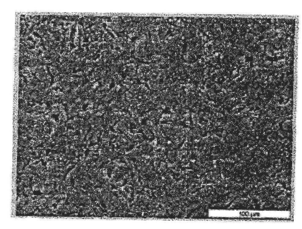 Method for manufacturing a thermal barrier