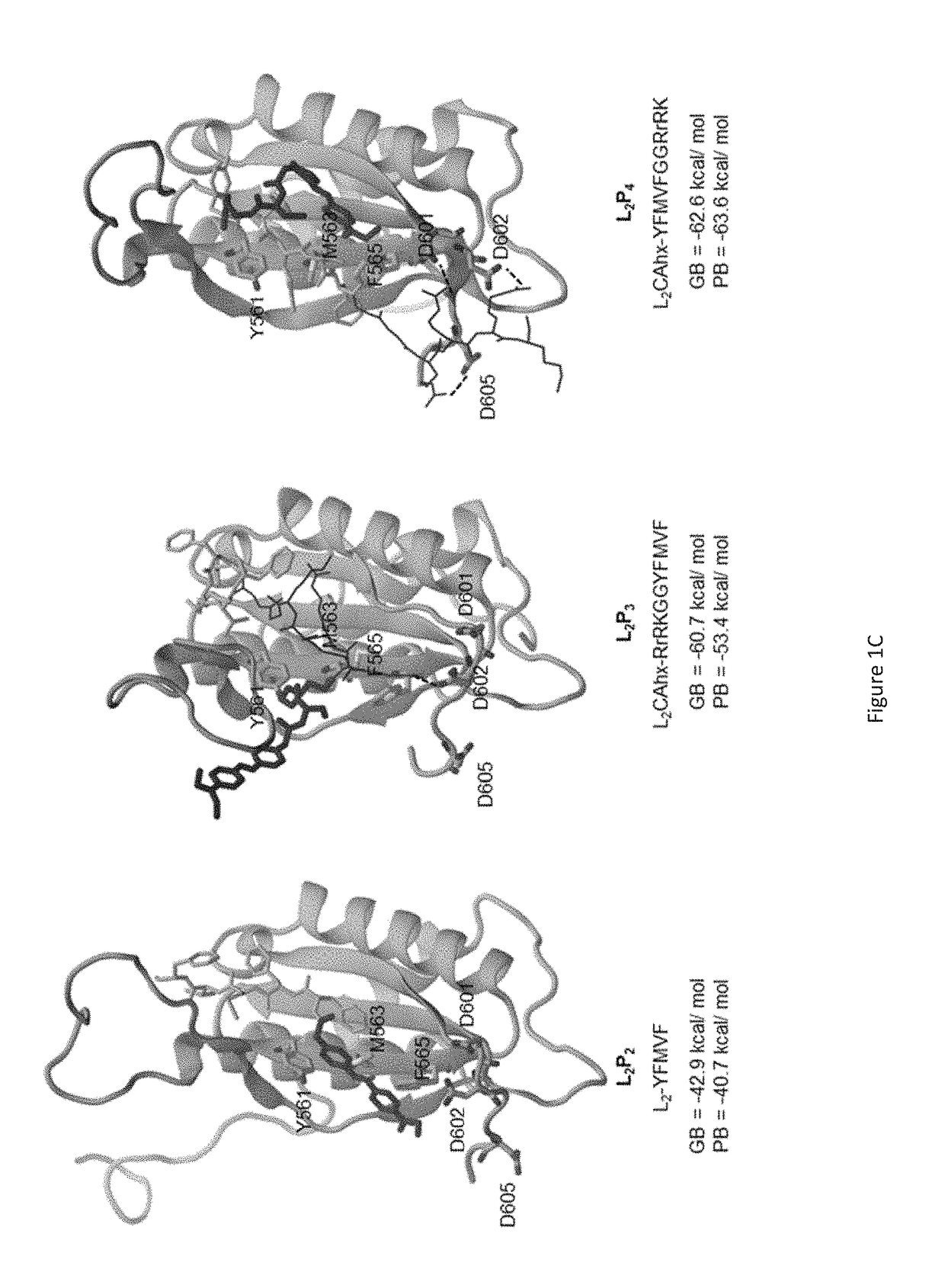 Therapeutic inhibitor for EBV-associated tumor with tailor responsive optical imaging