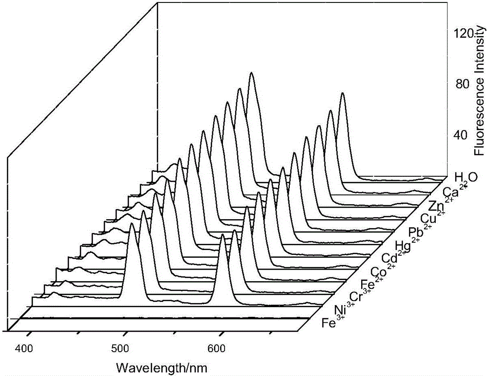 Rare earth ion liquid as well as preparation method and application thereof in detection of ferric ions