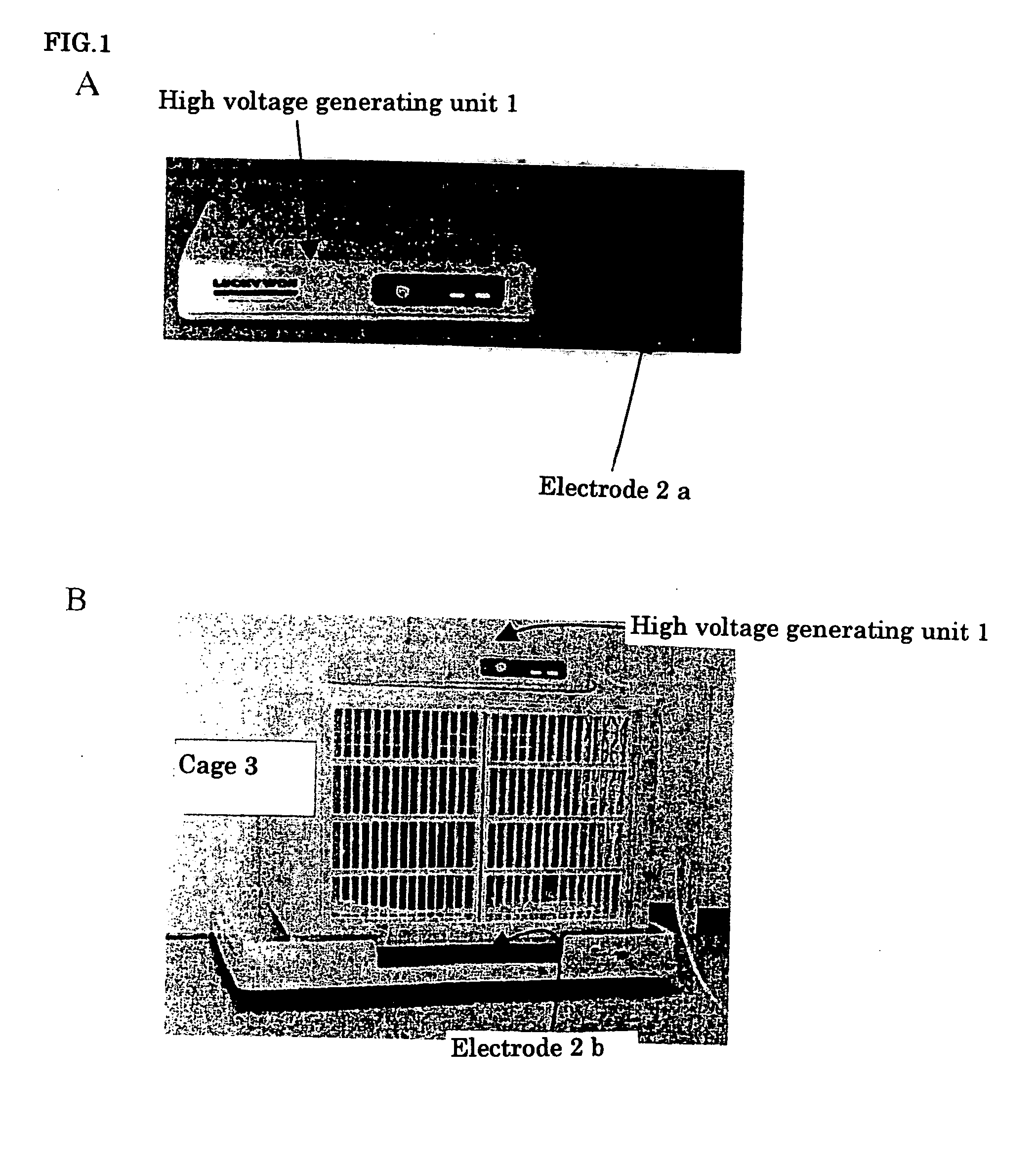 Non-Pharmacological Electric Filed Method and Apparatus for Treating and Improving Rheumatism and Pain