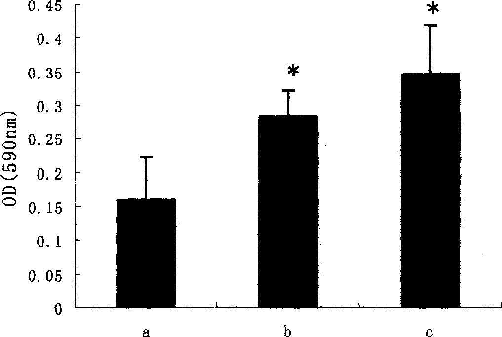 Plant source alcohol soluble protein and its preparation method