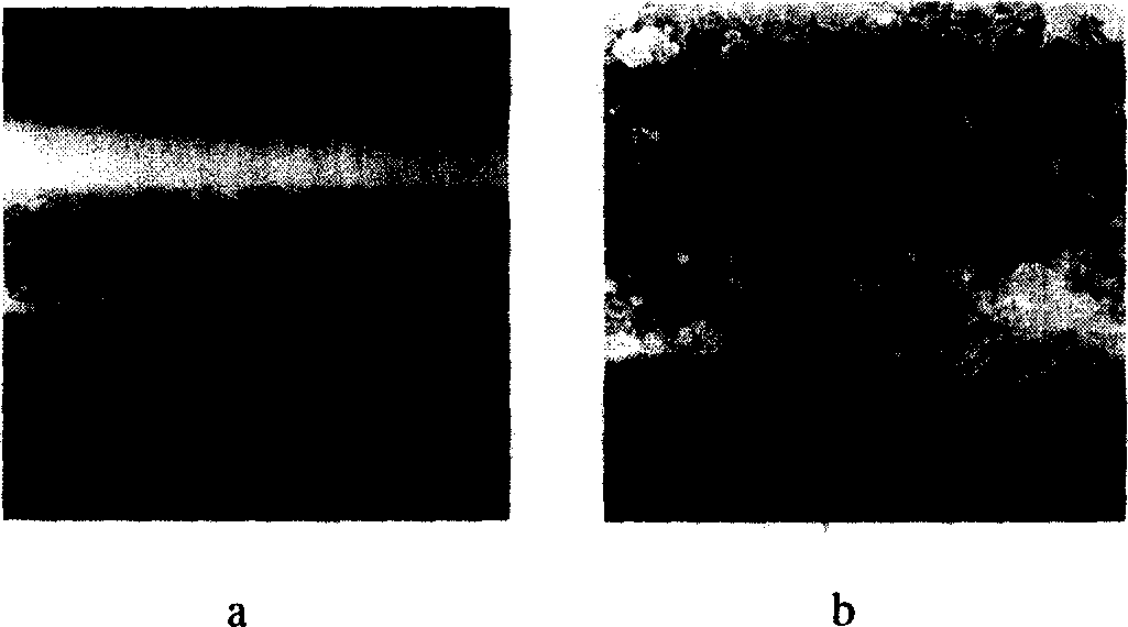 Plant source alcohol soluble protein and its preparation method