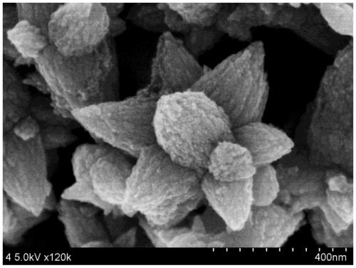 Preparation method and application of Ag2Se/GO nano material with micro-flower structure