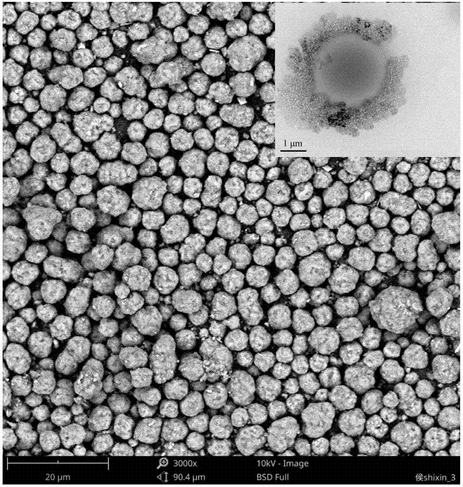 CaCO3:Eu&lt;3+&gt; fluorescent hollow microspheres and preparation method thereof