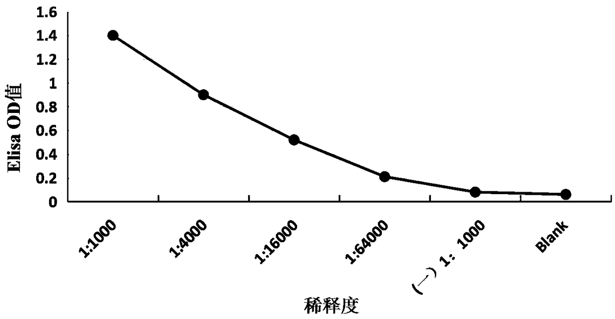 Peptide fragment 418-429 in highly conserved region of HCV envelope protein and application thereof