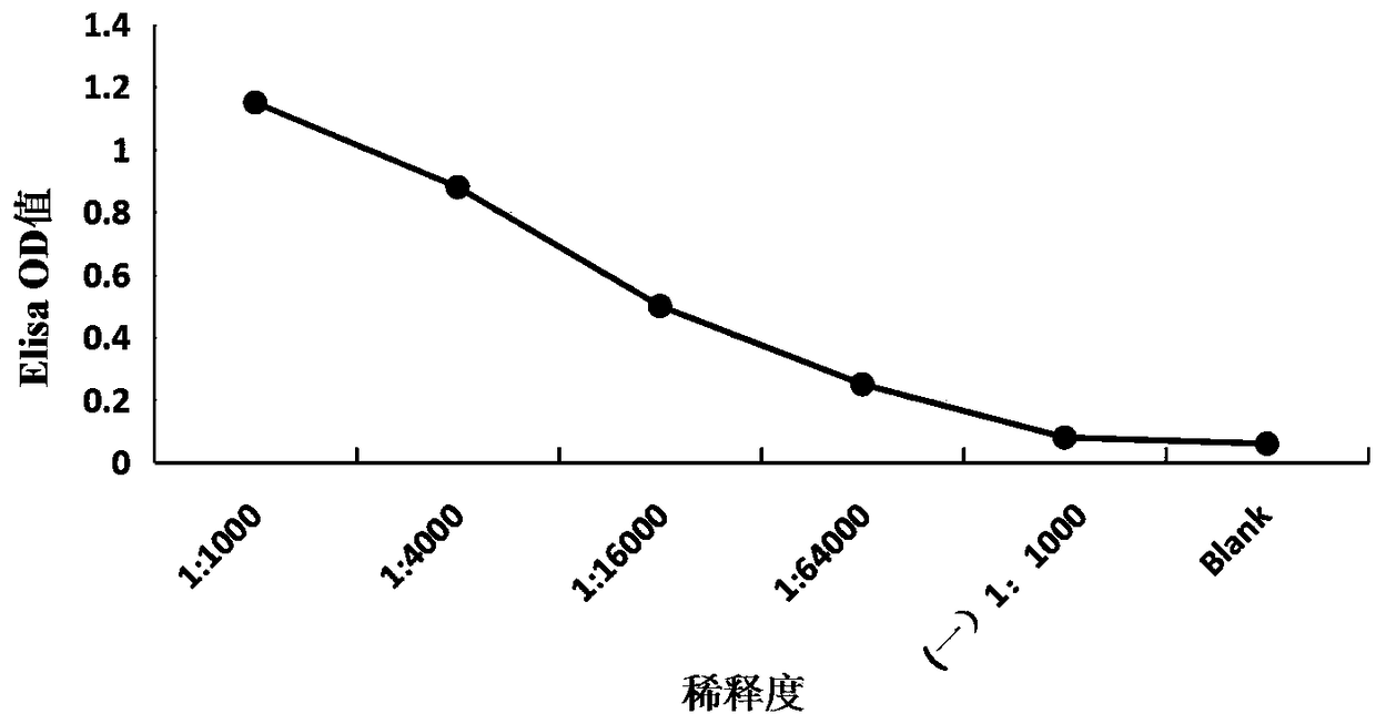 Peptide fragment 418-429 in highly conserved region of HCV envelope protein and application thereof