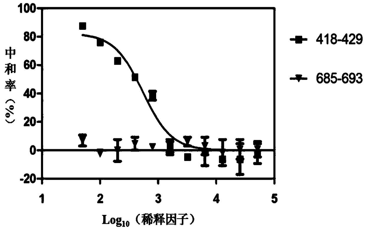 Peptide fragment 418-429 in highly conserved region of HCV envelope protein and application thereof