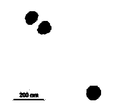 Preparation method and application of chitosan-g-poly(epsilon-caprolactone) derivative drug-loaded nano-micelle