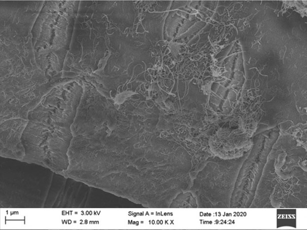 Carbon nanomaterial modified ultra-high molecular weight polyethylene fiber and preparation method thereof