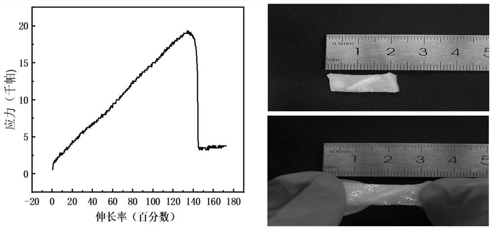 Porous solid ionic gel electrode and preparation method and application thereof